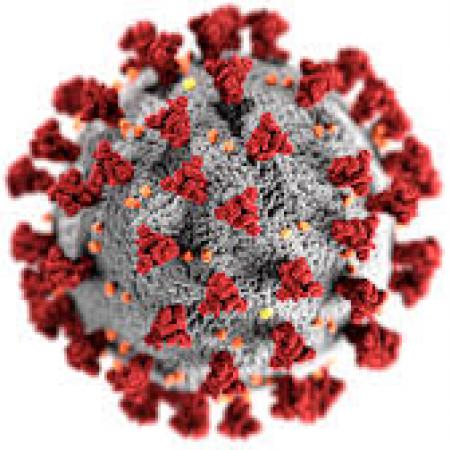Cornoa virus
